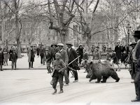 Zrinjevac, Kad zaigra mečka  Prvi snijeg, zimski kaputi, i u pozadini zagrebački klinci u kratkim ljetnim hlačicama.